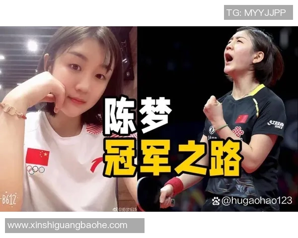 深圳乒乓球队夺冠之路最新比赛经验分享TOP10解析